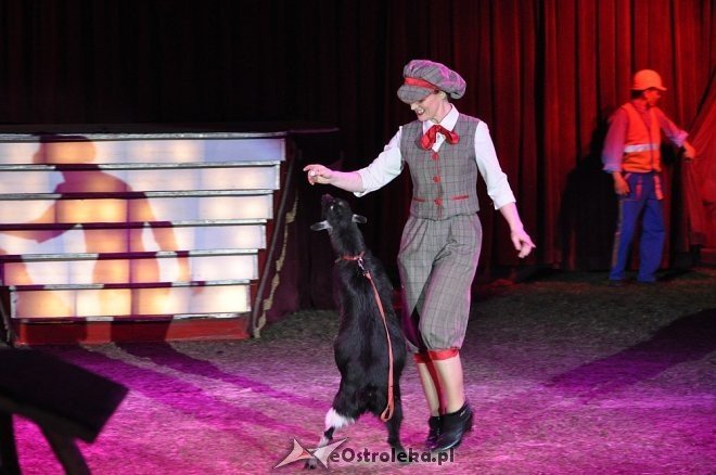 Cyrk Korona w Ostrołęce [24.04.2013] - zdjęcie #20 - eOstroleka.pl