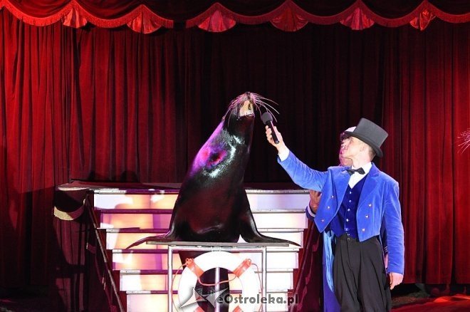 Cyrk Korona w Ostrołęce [24.04.2013] - zdjęcie #15 - eOstroleka.pl