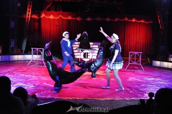 Cyrk Korona w Ostrołęce [24.04.2013] - zdjęcie #10 - eOstroleka.pl