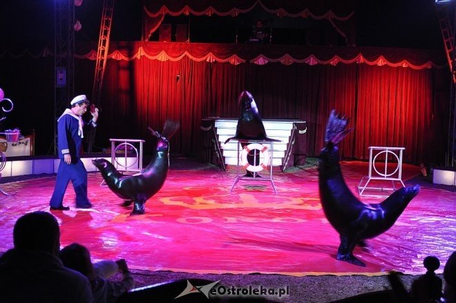 Cyrk Korona w Ostrołęce [24.04.2013] - zdjęcie #9 - eOstroleka.pl