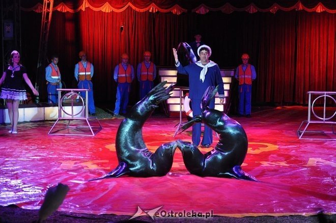 Cyrk Korona w Ostrołęce [24.04.2013] - zdjęcie #6 - eOstroleka.pl