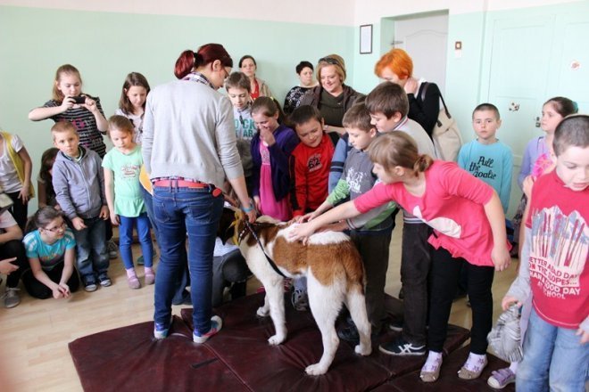 Spotkanie z psami w SP nr 5 [30.05.2013] - zdjęcie #5 - eOstroleka.pl