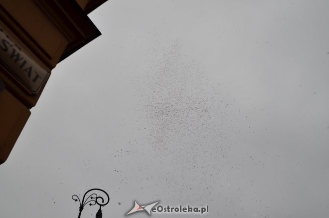 Warszawa: Akcja Orzeł może [2.05.2013] - zdjęcie #33 - eOstroleka.pl