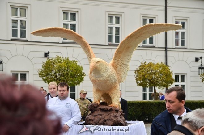 Warszawa: Akcja Orzeł może [2.05.2013] - zdjęcie #2 - eOstroleka.pl