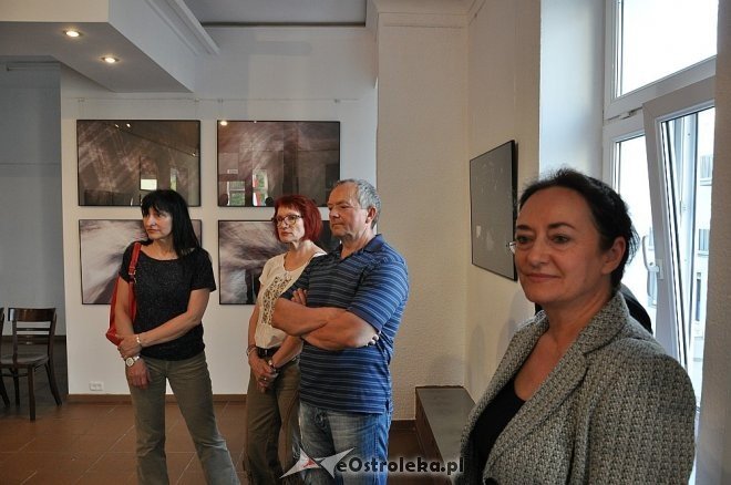 Wernisaż wystawy Waldemara Szysza pt. „Grafika” [09.05.2013] - zdjęcie #9 - eOstroleka.pl