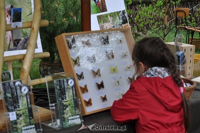 Dzień Ziemi w Ostrołęce [12.05.2013] - zdjęcie #65 - eOstroleka.pl