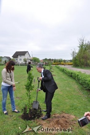 Akcja Sadzimy drzewa na Mazowszu   - zdjęcie #26 - eOstroleka.pl