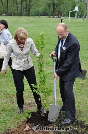 Akcja Sadzimy drzewa na Mazowszu   - zdjęcie #28 - eOstroleka.pl