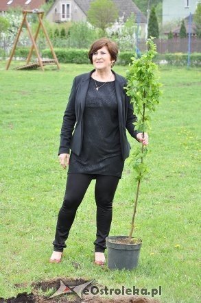 Akcja Sadzimy drzewa na Mazowszu   - zdjęcie #29 - eOstroleka.pl
