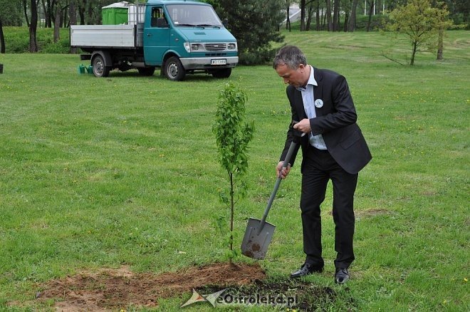 Akcja Sadzimy drzewa na Mazowszu   - zdjęcie #31 - eOstroleka.pl
