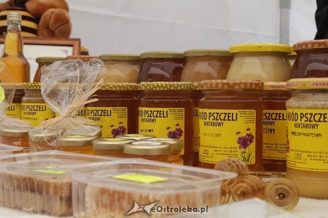 Targi „Czas na Kurpie: Kupuj Lokalne Produkty” już po raz trzeci w Ostrołęce [25.05.2013] - zdjęcie #35 - eOstroleka.pl