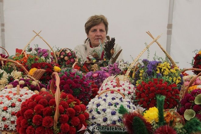 Targi „Czas na Kurpie: Kupuj Lokalne Produkty” już po raz trzeci w Ostrołęce [25.05.2013] - zdjęcie #100 - eOstroleka.pl