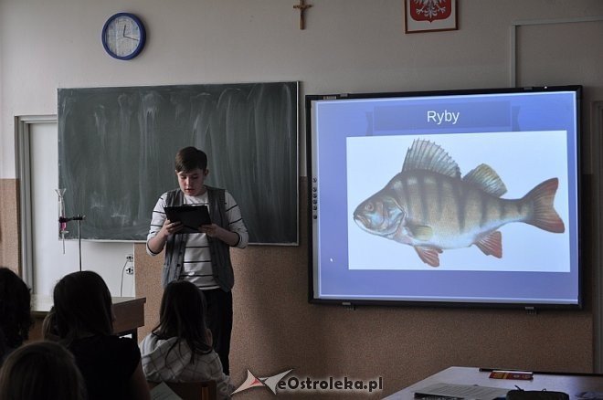 Gimnazjum nr 2: III Forum Naukowych Inspiracji [27.05.2013] - zdjęcie #25 - eOstroleka.pl