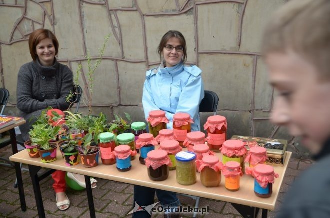 Festyn rodzinny 2013 - Odkrywamy Talenty. - zdjęcie #53 - eOstroleka.pl