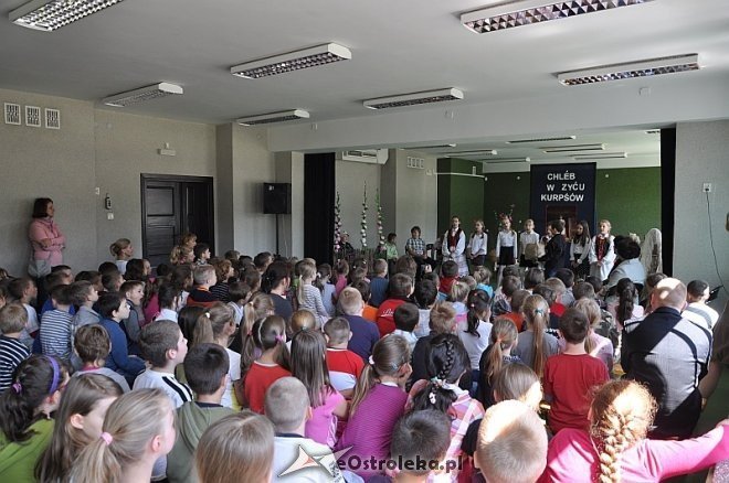 Drugi Dzień Kultury Kurpiowskiej w SP nr 10 [29.05.2013] - zdjęcie #28 - eOstroleka.pl