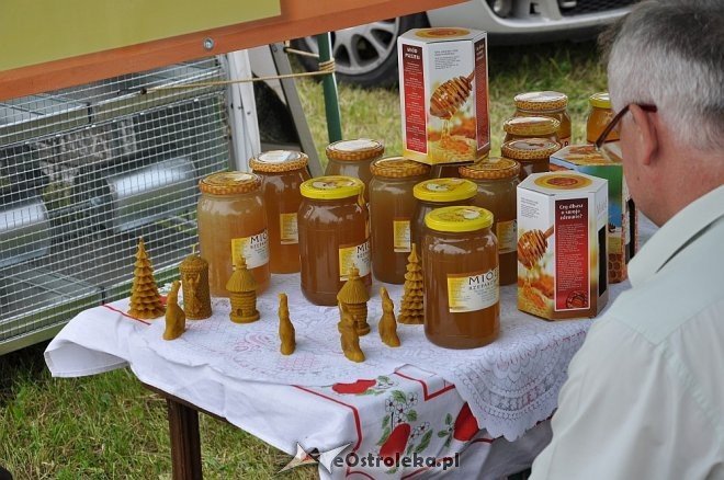 III Goworowskie Targi Przedsiębiorczości [02.06.2013] - zdjęcie #27 - eOstroleka.pl