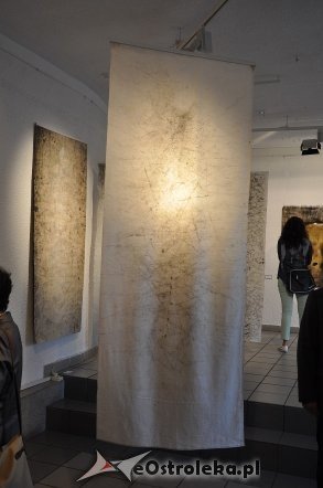 Wernisaż wystawy Festiwalu Sztuki 3m [06.06.2013] - zdjęcie #33 - eOstroleka.pl