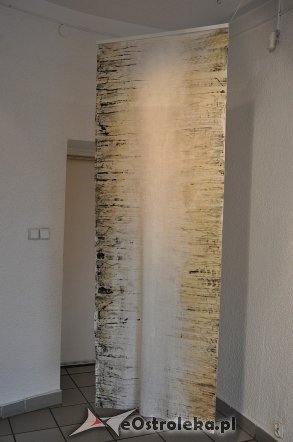 Wernisaż wystawy Festiwalu Sztuki 3m [06.06.2013] - zdjęcie #29 - eOstroleka.pl