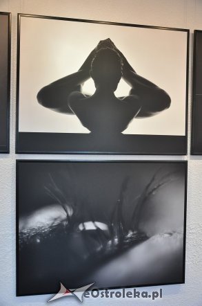 Wernisaż wystawy Festiwalu Sztuki 3m [06.06.2013] - zdjęcie #18 - eOstroleka.pl