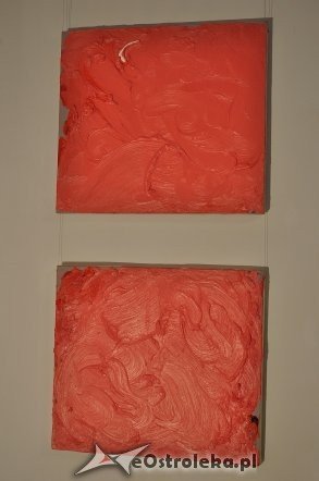 Wernisaż wystawy Festiwalu Sztuki 3m [06.06.2013] - zdjęcie #10 - eOstroleka.pl