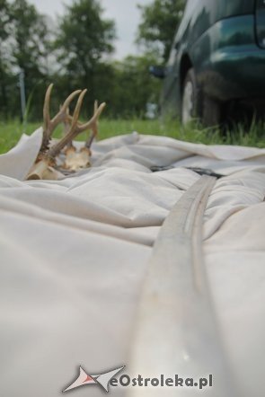 II Ostrołęcki Jarmark Staroci [09.06.2013] - zdjęcie #27 - eOstroleka.pl