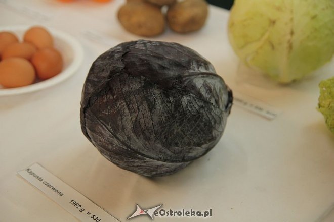 Piknik dla Zdrowia [09.06.2013] - zdjęcie #50 - eOstroleka.pl