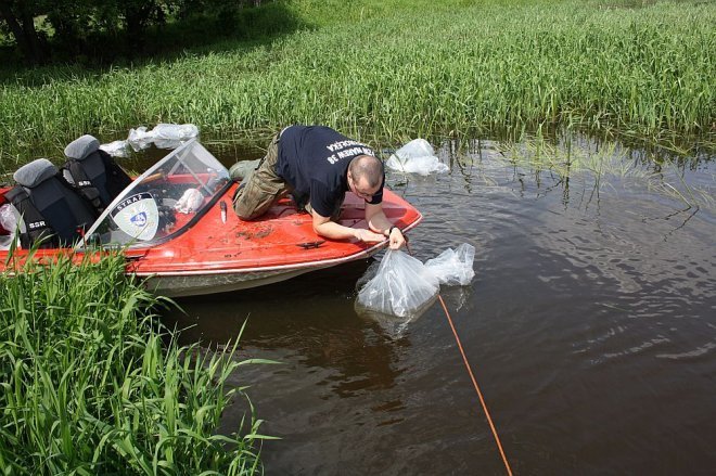 70 tys. ryb trafiło do Narwi [13.06.2013] - zdjęcie #21 - eOstroleka.pl