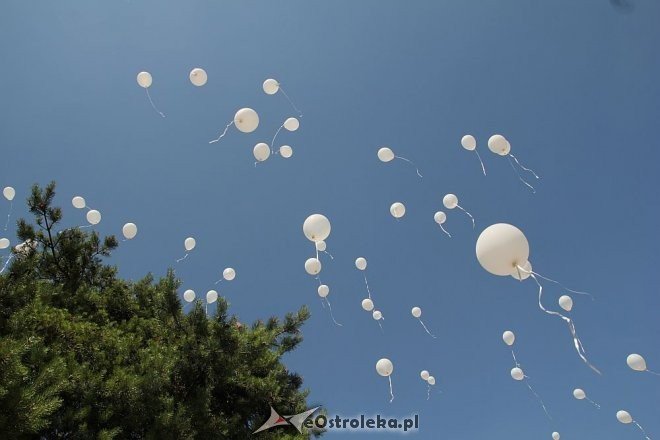 I pogrzeb Dzieci Utraconych [15.06.2013] - zdjęcie #19 - eOstroleka.pl