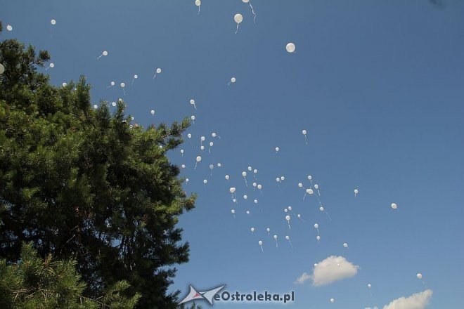 I pogrzeb Dzieci Utraconych [15.06.2013] - zdjęcie #18 - eOstroleka.pl