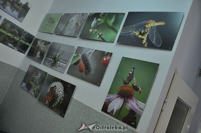 Wieczór w Arce: „Fotograficzny garnek Joanny Filipowicz” [20.06,2013] - zdjęcie #8 - eOstroleka.pl