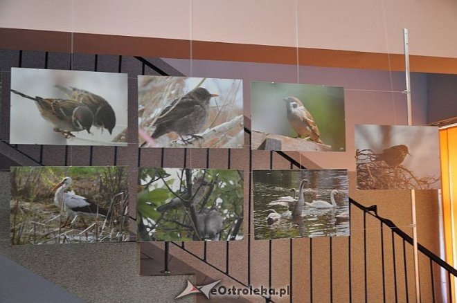 Wieczór w Arce: „Fotograficzny garnek Joanny Filipowicz” [20.06,2013] - zdjęcie #6 - eOstroleka.pl