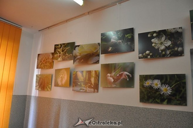 Wieczór w Arce: „Fotograficzny garnek Joanny Filipowicz” [20.06,2013] - zdjęcie #5 - eOstroleka.pl