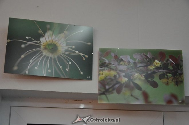 Wieczór w Arce: „Fotograficzny garnek Joanny Filipowicz” [20.06,2013] - zdjęcie #4 - eOstroleka.pl