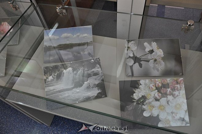 Wieczór w Arce: „Fotograficzny garnek Joanny Filipowicz” [20.06,2013] - zdjęcie #3 - eOstroleka.pl