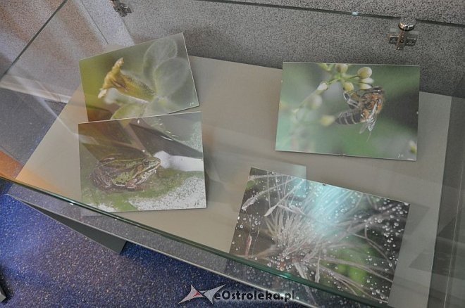 Wieczór w Arce: „Fotograficzny garnek Joanny Filipowicz” [20.06,2013] - zdjęcie #1 - eOstroleka.pl