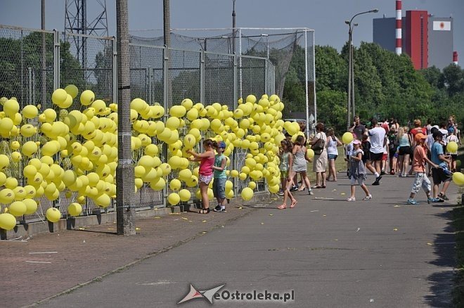 „Trzeźwo Myślę” Ostrołęcki Piknik Trzeźwości [21.06.2013] - zdjęcie #154 - eOstroleka.pl