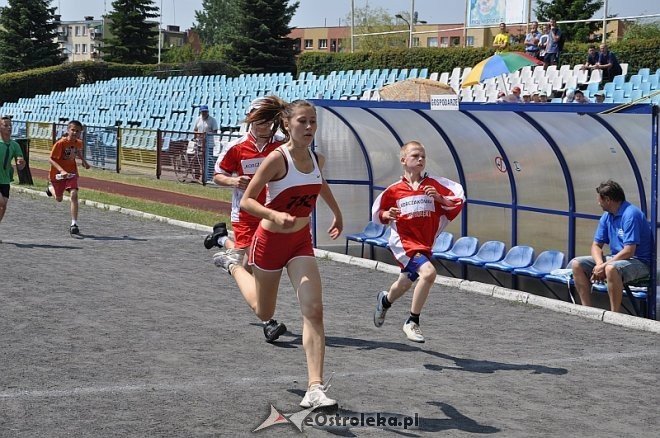 „Trzeźwo Myślę” Ostrołęcki Piknik Trzeźwości [21.06.2013] - zdjęcie #140 - eOstroleka.pl