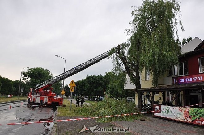 Straż Pożarna: Usuwanie zwisającego konaru [21.06.2013] - zdjęcie #1 - eOstroleka.pl