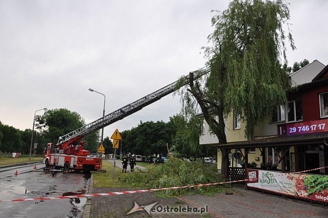 Straż Pożarna: Usuwanie zwisającego konaru [21.06.2013] - zdjęcie #24 - eOstroleka.pl