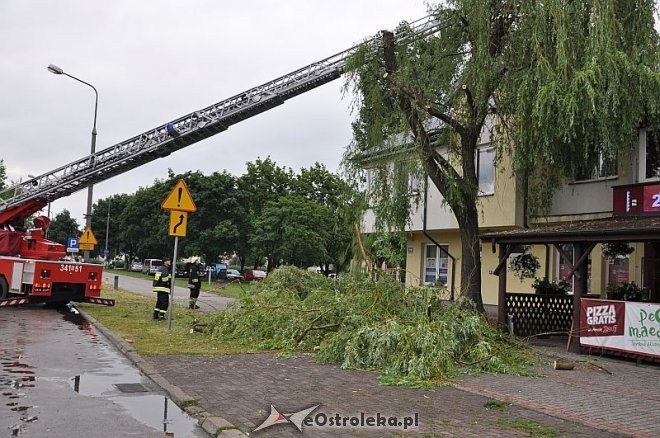 Straż Pożarna: Usuwanie zwisającego konaru [21.06.2013] - zdjęcie #22 - eOstroleka.pl