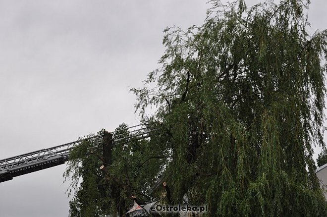 Straż Pożarna: Usuwanie zwisającego konaru [21.06.2013] - zdjęcie #21 - eOstroleka.pl