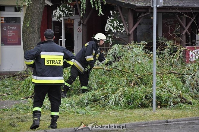 Straż Pożarna: Usuwanie zwisającego konaru [21.06.2013] - zdjęcie #19 - eOstroleka.pl