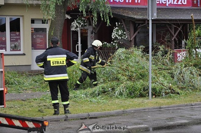 Straż Pożarna: Usuwanie zwisającego konaru [21.06.2013] - zdjęcie #18 - eOstroleka.pl