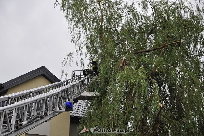 Straż Pożarna: Usuwanie zwisającego konaru [21.06.2013] - zdjęcie #17 - eOstroleka.pl