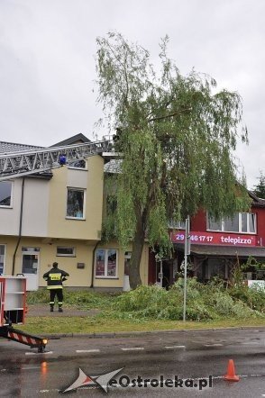 Straż Pożarna: Usuwanie zwisającego konaru [21.06.2013] - zdjęcie #16 - eOstroleka.pl
