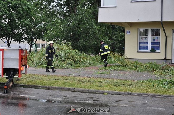 Straż Pożarna: Usuwanie zwisającego konaru [21.06.2013] - zdjęcie #15 - eOstroleka.pl