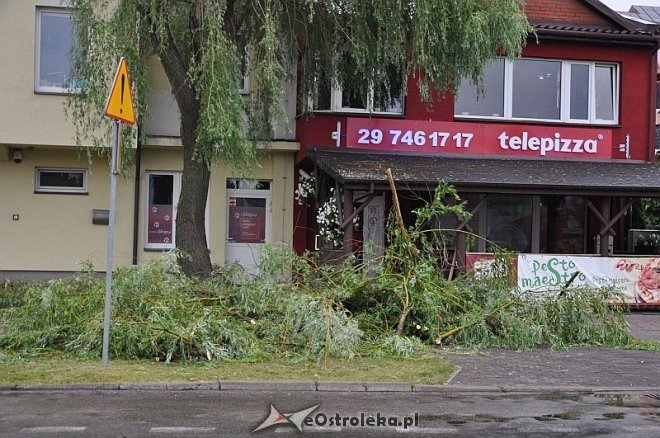 Straż Pożarna: Usuwanie zwisającego konaru [21.06.2013] - zdjęcie #13 - eOstroleka.pl