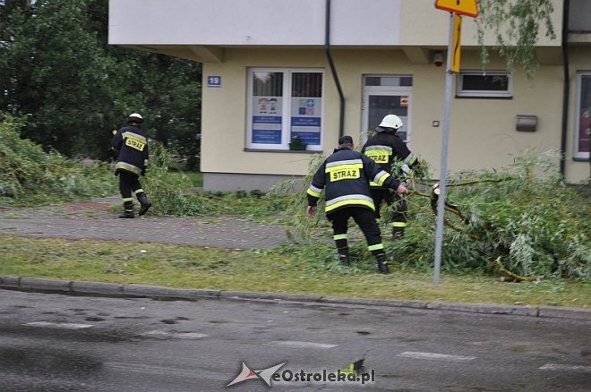 Straż Pożarna: Usuwanie zwisającego konaru [21.06.2013] - zdjęcie #11 - eOstroleka.pl
