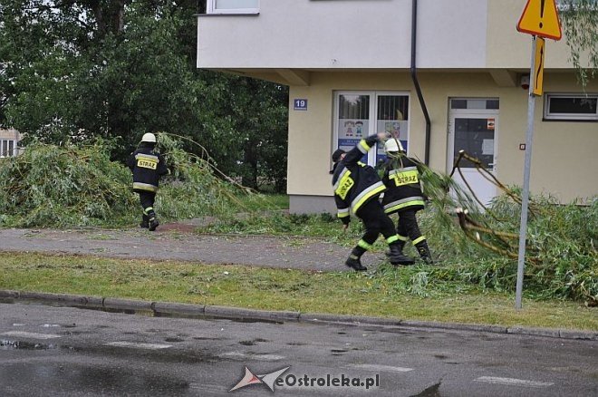 Straż Pożarna: Usuwanie zwisającego konaru [21.06.2013] - zdjęcie #15 - eOstroleka.pl