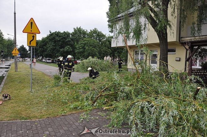 Straż Pożarna: Usuwanie zwisającego konaru [21.06.2013] - zdjęcie #5 - eOstroleka.pl